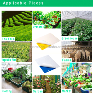Trampas adhesivas para moscas de frutas, hongos, mosquitos, matamoscas, matamoscas para interiores y exteriores, protegen la planta, trampa pegajosa para plagas - Product Image 2