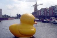 Canard gonflable géant Offre Spéciale de piscine jaune de canard en caoutchouc gonflable à vendre