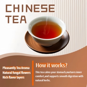 Té Oscuro de Hunan Premium OEM para el Confort Digestivo y el Bienestar del Estómago, Bolsitas de Té Herbal para el Cuidado Gástrico Relajante - Product Image 4