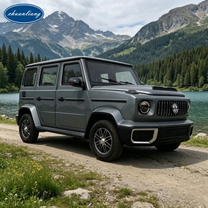 SUV Elettrico Compatto a 4 Ruote Fuoristrada 5 Posti Mini Auto Elettrica con Opzione Batteria al Piombo/Litio - Product Image 1