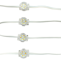 20 pixels DC24V WS2805 RGBIC+CCT 5 couleurs 30mm LED adressable ronde permanente pour l'extérieur, lumières de gouttière de maison, fil blanc 3 broches IP68