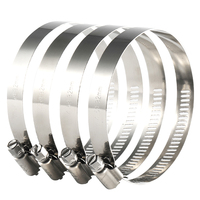 Attaches de câble en acier inoxydable 304 316 résistantes aux UV à verrouillage automatique pour une utilisation extérieure et intérieure
