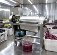 Machine de production industrielle compacte pour jus de fruits (orange, citron, légumes, raisin) à pression à froid, pour la fabrication de jus de fruits
