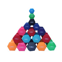 Haltère en plastique de gommage hexagonal de haute qualité pour les bodybuilders utilisent de petites cloches