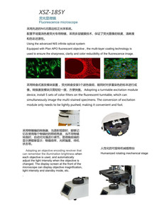 Coloré avec des colorants fluorescents Fluorochromes Caméra de <span class=keywords><strong>microscope</strong></span> de laboratoire <span class=keywords><strong>fluorescent</strong></span> à contraste de phase