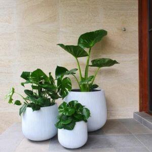 Maceta <span class=keywords><strong>de</strong></span> decoración interior para el hogar, artículos grandes <span class=keywords><strong>de</strong></span> jardinería, maceta FRP - Product Image 4