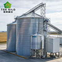 Système complet de stockage de céréales en silo en acier à fond plat clé en main pour ligne de traitement agricole à grande échelle