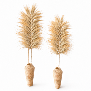 Arreglos Minimalistas de Pampas, Hechos a Mano con Hierba Seca Natural Rayung, Elegante Still Life con Tallos de Bambú Decorativos - Product Image 1