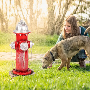 Hars Kleine Hond Brandkraan Standbeeld Hond Brandkraan Puppy Post Brandweerman Geschenken Tuin Buiten Decor Rood Hars Vuur - Product Image 5