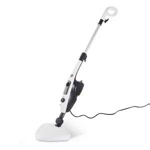 Desiderio Auto Professional Steam Cleaner