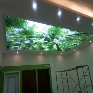 Phecol — panneau mural en Pvc extensible, modèle Unique, faux 3d, à monter soi-même, Film de plafond extensible