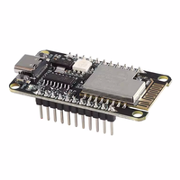 Módulo WiFi de Doble Banda + Módulo 5.0 de Bajo Consumo Basado en el Chip RTL8720DN, Kit/Placa de Desarrollo BW16