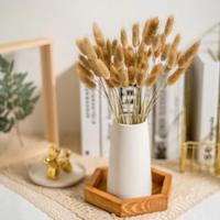 Set Rumput Pampas Bulu Halus Terlaris, Buket Bunga Abadi Kain Sutra Buatan Tangan, Dekorasi Modern Ramah Lingkungan, Dapat Digunakan Kembali