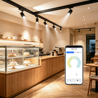 Projecteur LED sur rail intelligent à radar de présence, 15W, haute luminosité, Zigbee Bluetooth-Mesh, idéal pour des espaces spectaculaires