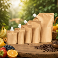 Pochette à bec verseur en papier kraft biodégradable, sac d'emballage liquide écologique à fond plat pour jus et sauces, vente en gros OEM