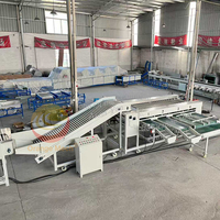 Automatische sorteermachine voor fruit en groenten (aardappel, bietenwortel, kerstomaat, sinaasappel, citroen) voor sortering op grootte in de 4e, 5e en 6e klas.