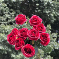 Rose artificielle équatorienne en gros, tige longue de 70 cm, tête de fleur de 10 cm, toucher réel, pour décoration de mariage, maison, hôtel