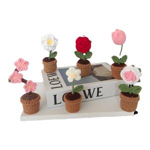 Vaso per Piante Mini in Crochet 2026, Decorazione Floreale, Regalo Creativo, Ornamento Compatto Adorabile - Product Image 1