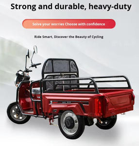 Petit moderne 2 places batterie pliante électrique 3 roues passager 2 personnes cargo <span class=keywords><strong>tricycle</strong></span> électrique - Product Image 2