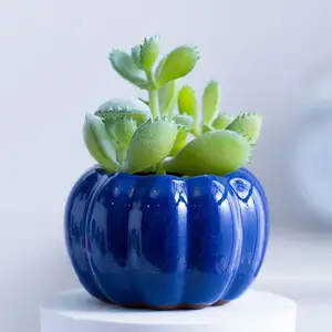 Yaratıcı buz çatlak saksılar iç masa yeşil bitki küçük Pot renk taze saksı