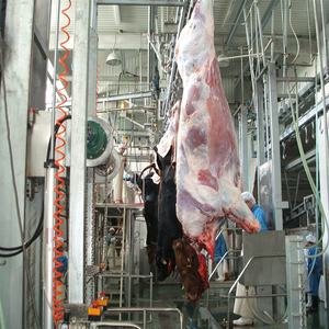 Machine d'abattage automatique halal professionnelle pour bovins, équipement de dépeçage motorisé pour abattoir, <span class=keywords><strong>matériel</strong></span> de <span class=keywords><strong>boucherie</strong></span> de haute qualité - Product Image 4