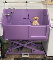 Baignoire de toilettage pour animaux de compagnie personnalisable multicolore avec élévateur électrique pour s'adapter à une hauteur confortable, évier de bain pour animaux