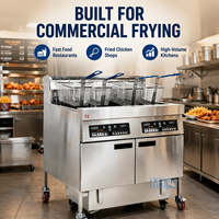 Friteuse Électrique Professionnelle Ouverte pour Frites, Poulet Rôti et Dinde – Idéale pour Restaurants