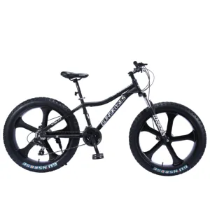 가변 속도의 인기있는 성인용 먼지 산악 자전거 팻 타이어 및 스틸 포크 디스크 브레이크 및 일반 페달