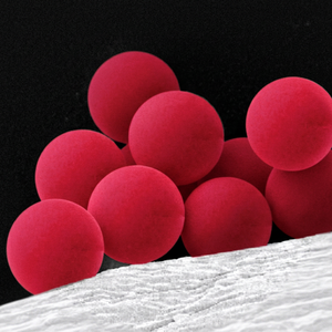 Perles de polystyrène rouge, vert, bleu avec groupe COOH, monodispersées pour usage de recherche - Product Image 1