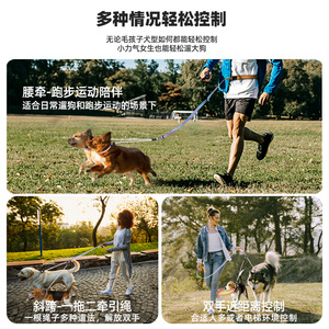 สายจูงสุนัขแบบสองหัว ป้องกันการรัดคอ ป้องกันการพันกัน ขนาดกลาง - Product Image 2