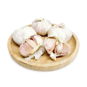 Wholesale Cheap Price Single Spices Herbs Fresh Garlic China