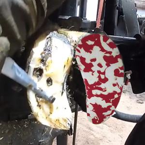 حذاء مشوي حافر كتلة البقر مزرعة كعب الحافر عرموش للبقر - Product Image 5