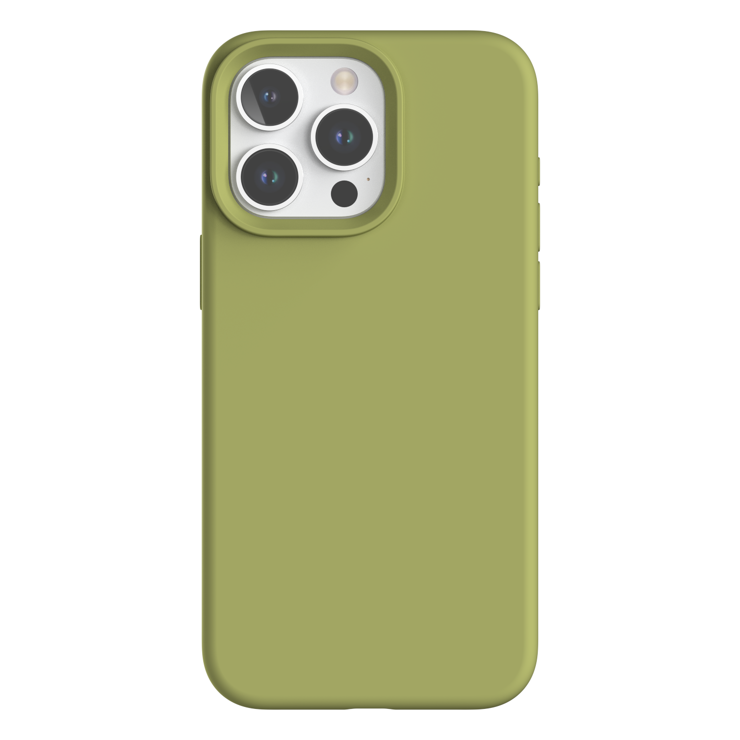 Cardamomo verde
