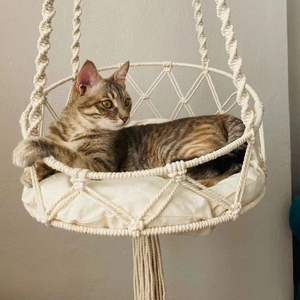 Groothandel Handgemaakte Macrame Kat Hangmatten Opknoping <span class=keywords><strong>Cat</strong></span> <span class=keywords><strong>Swing</strong></span> Hangmatten Kattenbed - Product Image 2