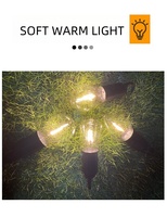 2023 nouveau Offre Spéciale étanche tungstène Led Camping en plein air ampoule lumière Portable suspendu TYPE-C Rechargeable tente ampoule lanterne