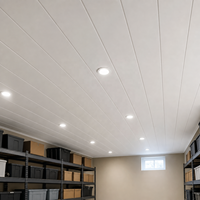 Panel de Techo de PVC Entrecruzado Blanco Mate WYRAX, 300 x 8.5 mm, para Espacios Residenciales y Baños, Fácil de Limpiar, Construcción Ligera