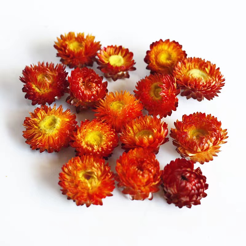 Red 50g