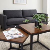 Ensemble de deux tables d'appoint contemporaines avec plateau en panneau de bois et pieds en fer, finition thermolaquée, montage facile, pour le mobilier de salon