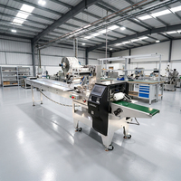 SZ100 Industrielle Lebensmittelmaschine Automatische Professionelle Snack-Horizontale Lochstanzmaschine für Rückseitig Versiegelte Plastiktüten