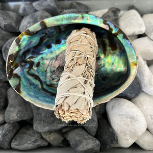 Coquille d'ormeau polie faite à la main brillant 10-14cm Palo Santo/supports de bâtons de tache de <span class=keywords><strong>sauge</strong></span> <span class=keywords><strong>blanche</strong></span> importation de la nouvelle-zélande en gros - Product Image 4