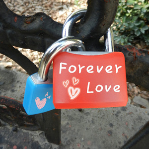 Tùy chỉnh kích thước trung bình nhôm sáng tạo tình yêu khóa móc khóa với áo khoác nhựa - Product Image 4