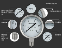 Customized M20*1.5 Thread Stainless Steel Manometer Full SS Pressure Gauges for Air Competitive Price