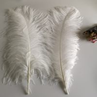 Nouvelles plumes d'autruche blanches teintes originales en gros, 60-65 cm, pour robe de cocktail de luxe, décoration de mariage à domicile, fabrication de bricolage