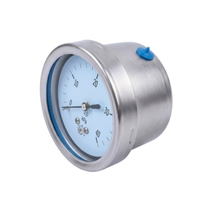 Indicador de Alta Sensibilidad de Grado Industrial YE60BFZ para Monitoreo de Tuberías de Gas Natural - Product Image 1