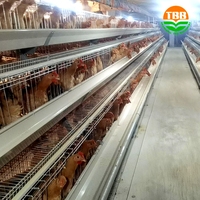 La nouvelle conception de bon marché un type poulailler avec la cage galvanisée de poulet de couche de fil à vendre