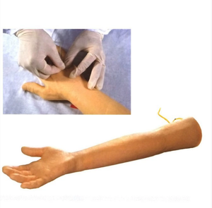 แขนหุ่นฝึกฉีดพีวีซีทางการแพทย์สำหรับนักศึกษาพยาบาลที่มีการเจาะหลอดเลือดการเจาะเลือดการเจาะเลือดและการฝึกเข้ากล้ามเนื้อ - Product Image 5