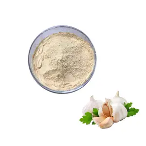 Hot Sale Garlic Extract Powder Garlic Fruit Powder Garlic Powder