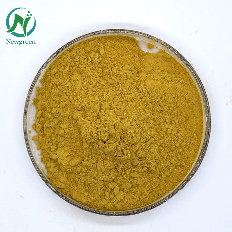 Hochwertige Lieferung reines natürliches Okra-Extrakt pulver