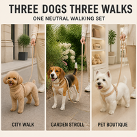 Kit de promenade personnalisé pour animaux de compagnie en tissu réglable avec harnais de poitrine rembourré, collier et longue laisse pour chien – Accessoires d'extérieur sur commande