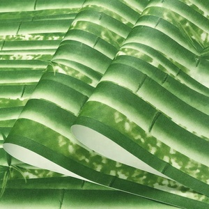 วอลล์เปเปอร์ติดผนังแบบสามมิติสำหรับเด็ก,วอลล์เปเปอร์ตัวการ์ตูนชินอนิเมะป่าธรรมชาติ - Product Image 2